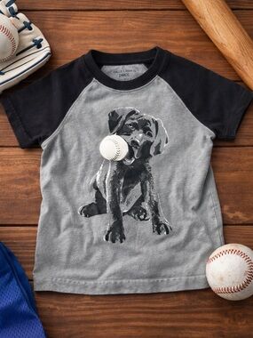 Falls Creek Kids Puppy Baseball Shirt 24M Gray Raglan Dog Graphic Tee